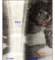 Sidescan image showing sandwaves

Click to Enlarge